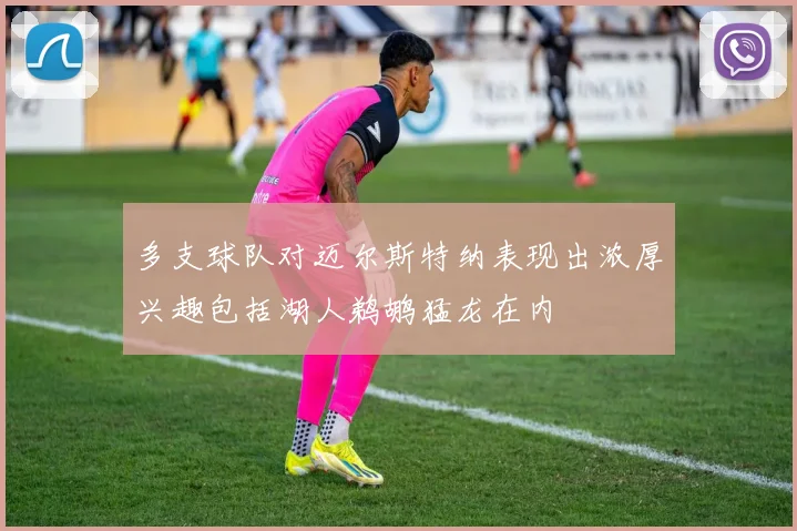 多支球队对迈尔斯特纳表现出浓厚兴趣包括湖人鹈鹕猛龙在内