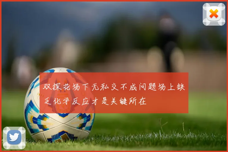 双探花场下无私交不成问题场上缺乏化学反应才是关键所在