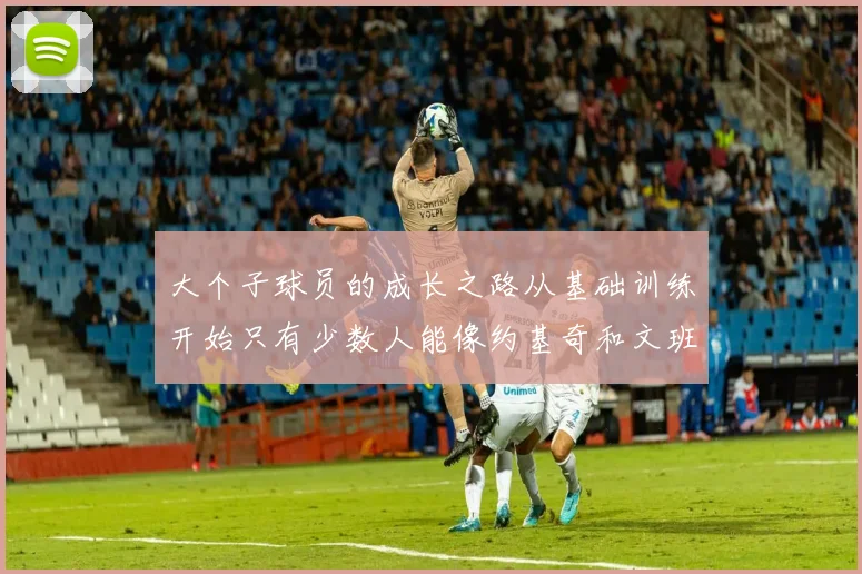 大个子球员的成长之路从基础训练开始只有少数人能像约基奇和文班那样成功